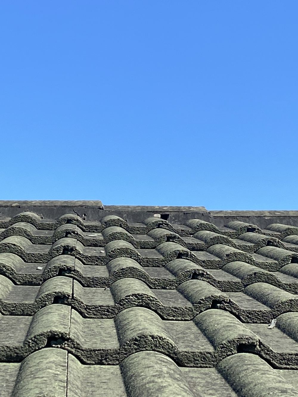 Buying an older house on Cobbitty's rural edge